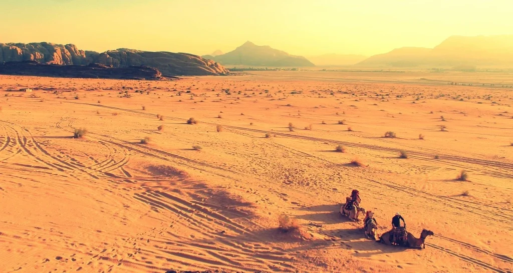 ¿Cuál es el origen de los camellos? camellos en el desierto de áfrica