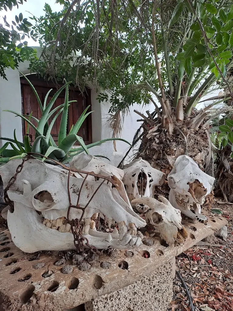 Our History Our History